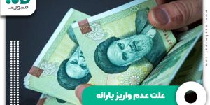 علت عدم واریز یارانه
