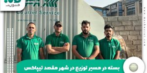 بسته در مسیر توزیع در شهر مقصد تیپاکس