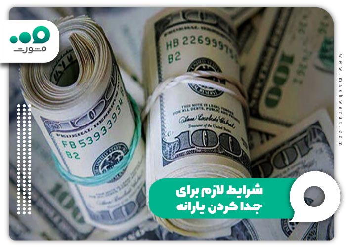 قطع یارانه بعد از جدا سازی