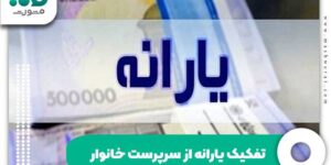 تفکیک یارانه از سرپرست خانوار