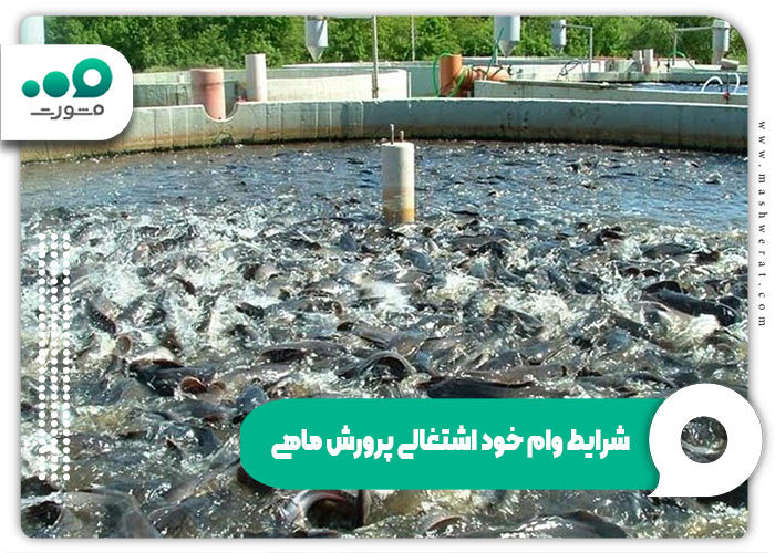 شرایط وام خود اشتغالی پرورش ماهی
