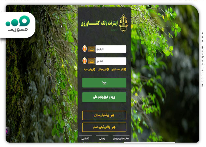 وارد کردن اطلاعات